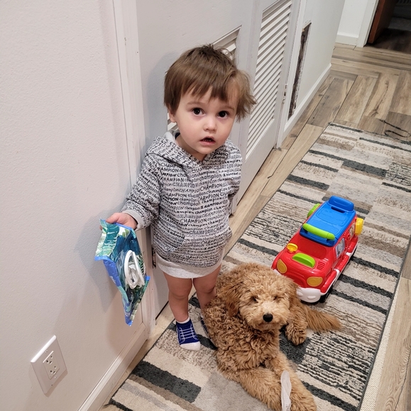 Meet your Posher, Ashley - Picture 8 of 11